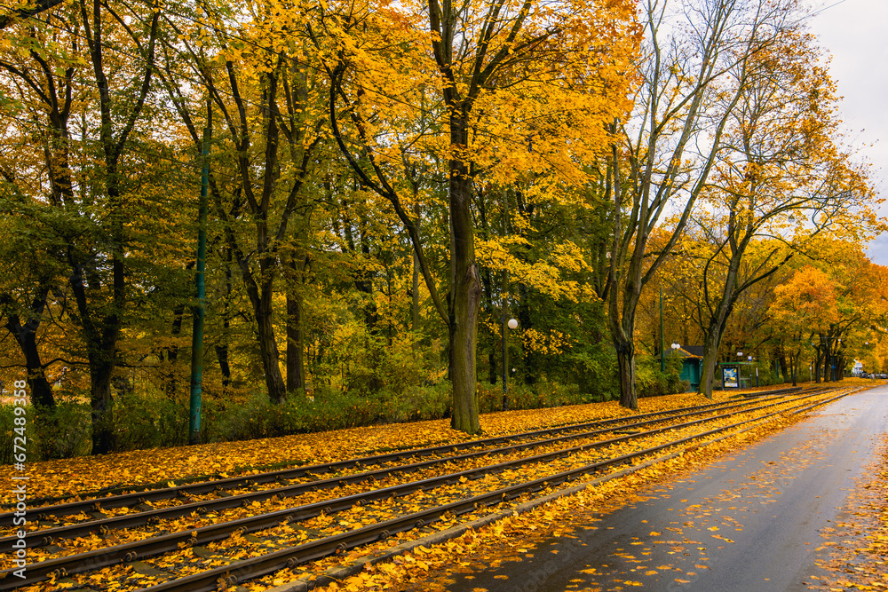 Fototapeta premium Yellow Leaves On An Autumn Street. Train Rails are Covered with Yellow Leaves. Poland, Poznan, Solacz