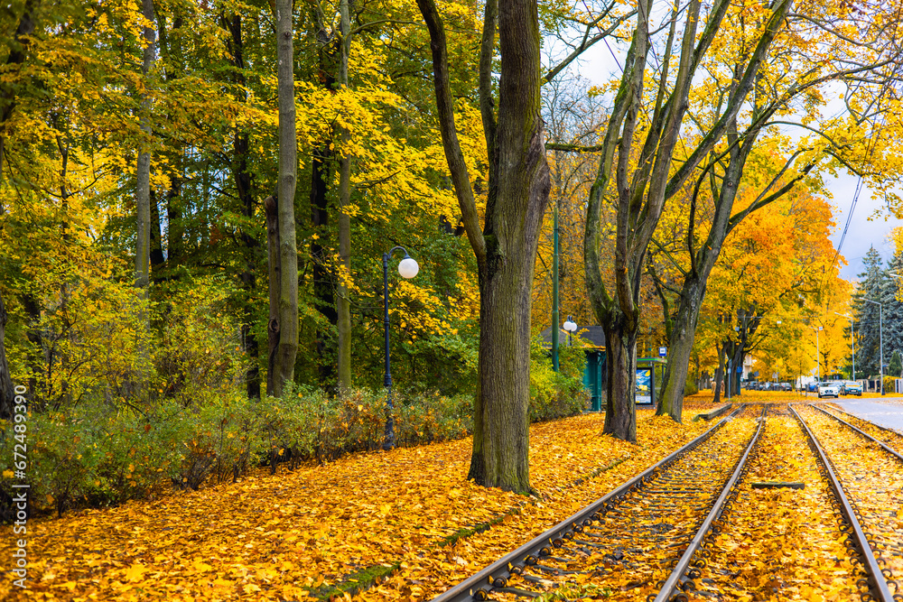 Yellow Leaves On An Autumn Street. Train Rails are Covered with Yellow Leaves. Poland, Poznan, Solacz Yellow Leaves On An Autumn Street. Train Rails are Covered with Yellow Leaves. Poland, Poznan, Solacz