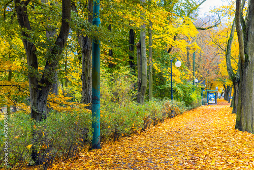 Yellow Leaves On An Autumn Street. Poland, Poznan, Solacz