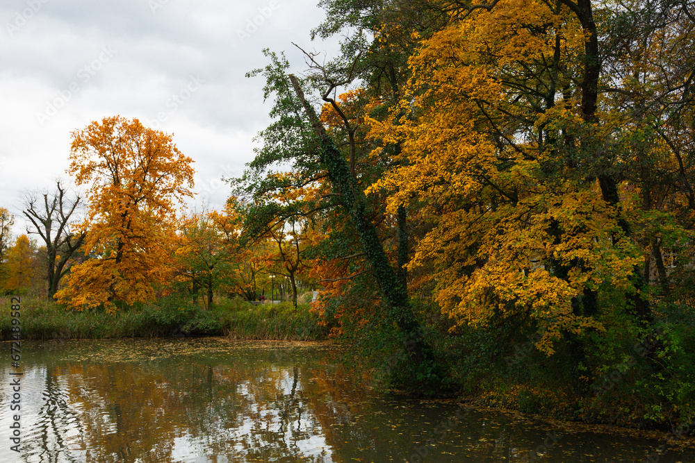 Autumn Solacz Park with Yellow Trees, Leaves and Pond. Poland, Poznan Autumn Solacz Park with Yellow Trees, Leaves and Pond. Poland, Poznan