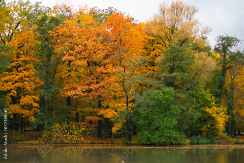 Autumn Solacz Park with Yellow Trees  Leaves and Pond. Poland  Poznan
