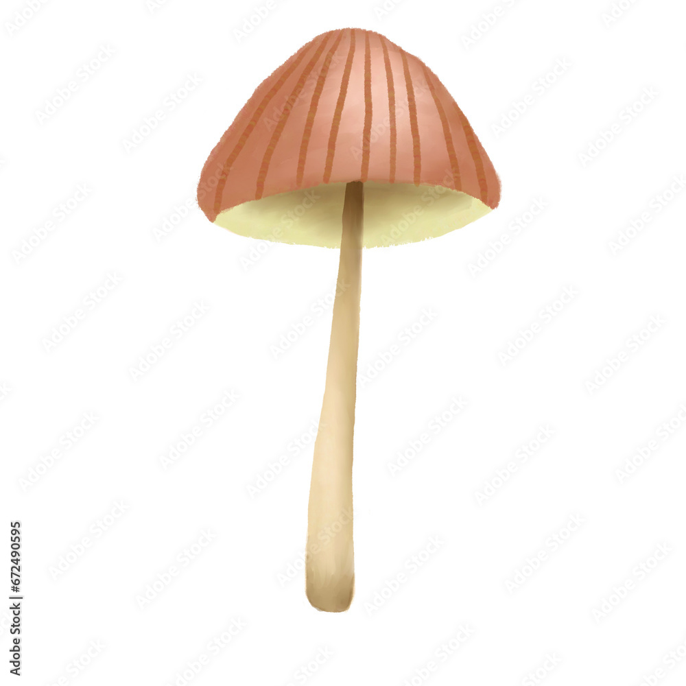 Watercolor Mushroom Illustration Watercolor Mushroom Illustration
