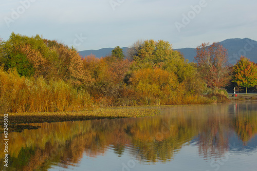 Autumn fall colored trees and bushes with a mountain backdrop reflected in Trout Lake in Vancouver BC Canada