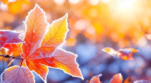 A stunning and picturesque close-up of an autumn or winter scene