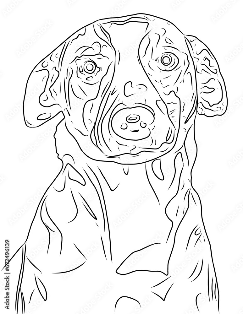 Fototapeta premium PICCOLA OUTLINE