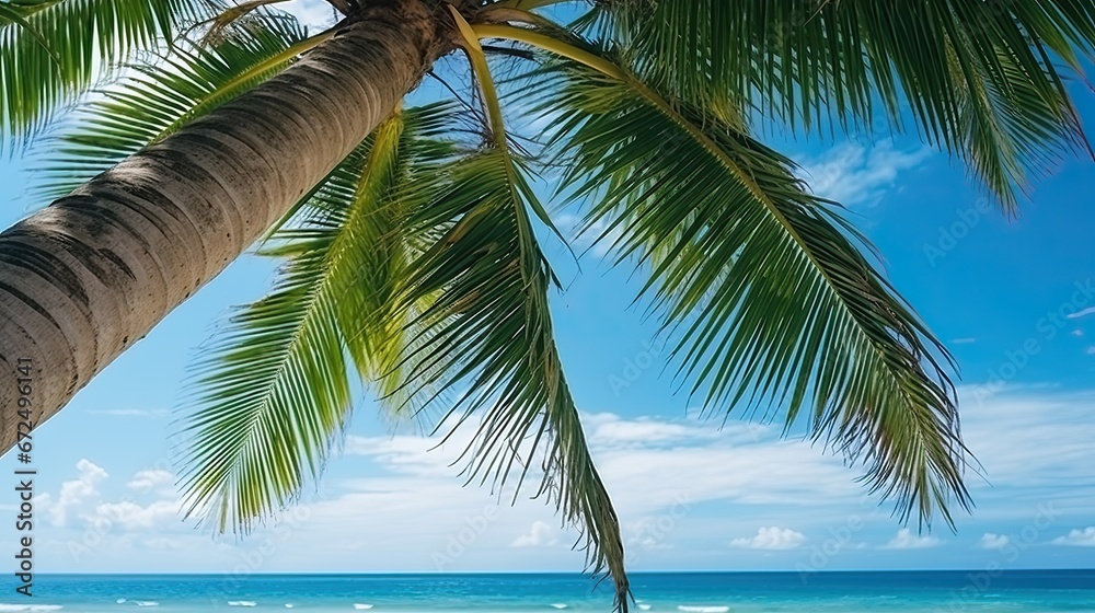 Obraz premium Palm trees on the beach