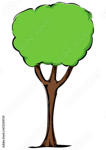 Baum