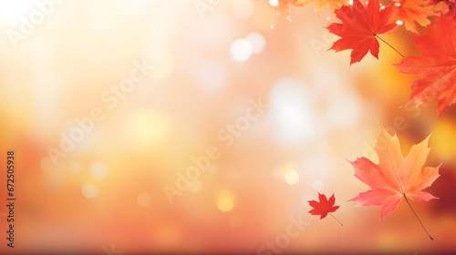 Golden yellow orange red maple leaves close-up on the blurred background. Sunlight. Bright autumn foliage background. Fall panoramic backdrop. Copy space. Web Banner