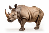 a rhino standing on a white surface with a white background
