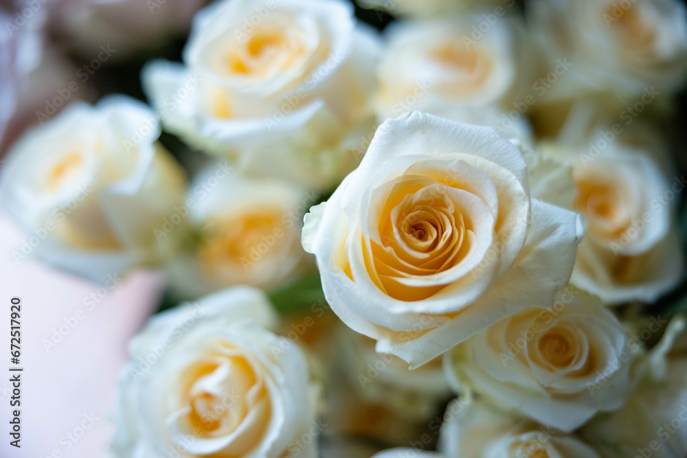 Bouquet of Flowers on Porch - Roses, Peony - White, Peach, Pink, Blush, Orange, Yellow, Green, Mauve - Wedding, Ceremony, Reception, Bokeh, Blur, Background, Backyard, Afternoon, Sunny, Arrangement Bouquet of Flowers on Porch - Roses, Peony - White, Peach, Pink, Blush, Orange, Yellow, Green, Mauve - Wedding, Ceremony, Reception, Bokeh, Blur, Background, Backyard, Afternoon, Sunny, Arrangement