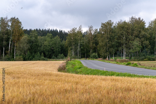 Country road