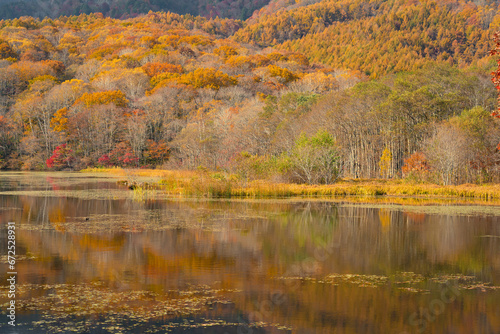 秋の紅葉と水鏡の湖畔 © LookForNature