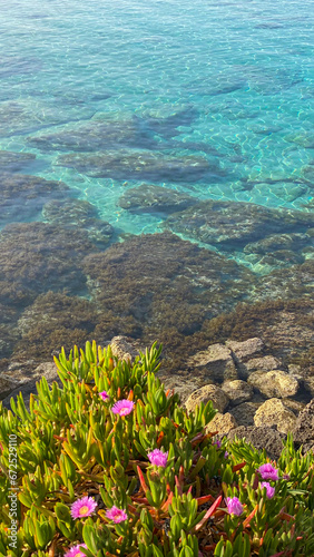 sea and flowers