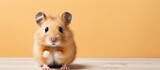 The Syrian hamster with orange fur is balancing on its hind legs and playfully closing one eye