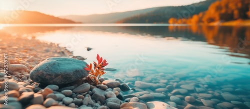 The landscape of a plant and the blue sky in the background become a blur with riverside rocks blending into the sunset sky and clouds This creates an astonishing scenery offering room for a photo