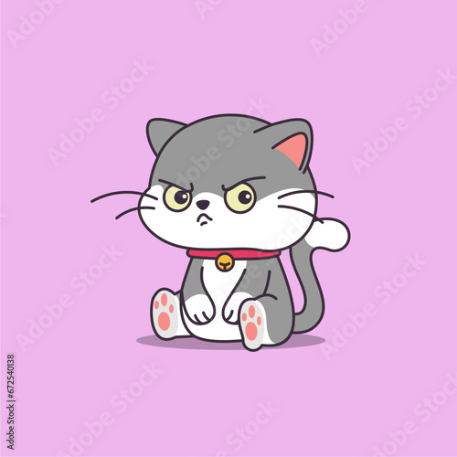 cute cat staring intently
