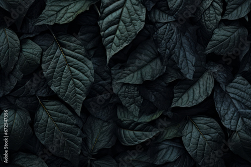 Fondo de hojas de plantas de tonos oscuros.