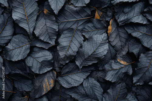 Fondo de hojas de plantas de tonos oscuros.