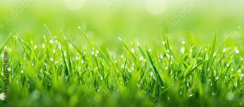 The field is adorned with lush grass that has a vibrant shade of green resembling the color of a meadow