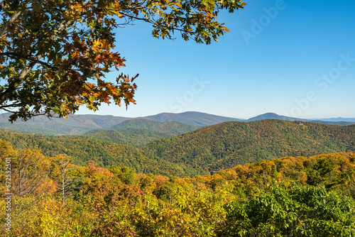 Fototapeta Naklejka Na Ścianę i Meble -  Panoramic view of fall color in Shenandoah National Park.