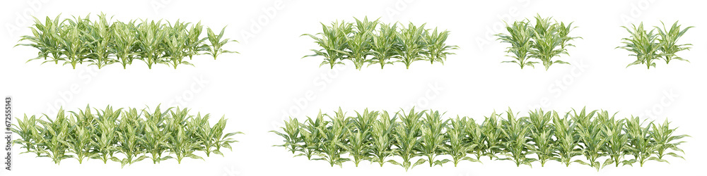 set of bushes, 3D rendering, isolated on a transparent background. Perfect for illustration, digital composition, and architecture visualization