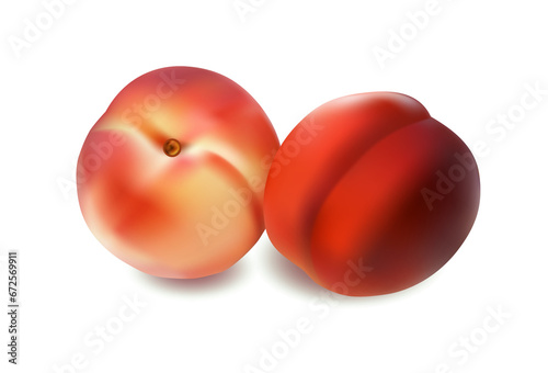 two peach fruits isolated on white background