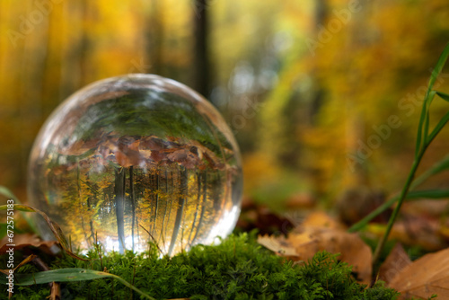Focus on taking care of nature shown with a glass ball with Scandinavia forest nature in Autumn reflected  inside and outside the ball. A room with nature in the nature.