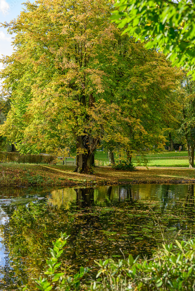 Herbstzeeit in Velen im Münsterland