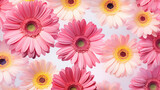 Sophisticated Gerbera Daisies Watercolor Seamless , Background Image, Hd