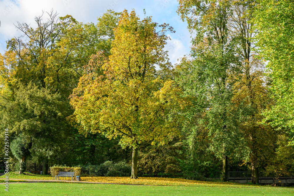 Herbstzeeit in Velen im Münsterland