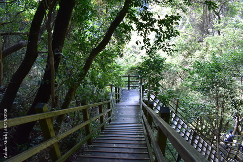 登山道の階段