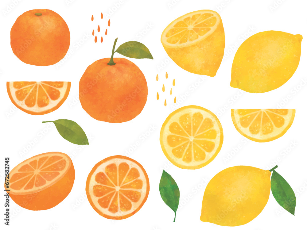 オレンジ、レモンのイラスト(みかん、柑橘類、輪切り、カット、水彩、手書き)