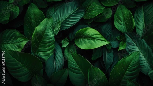  green leaves background