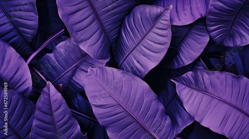 purple leaf background, nature background