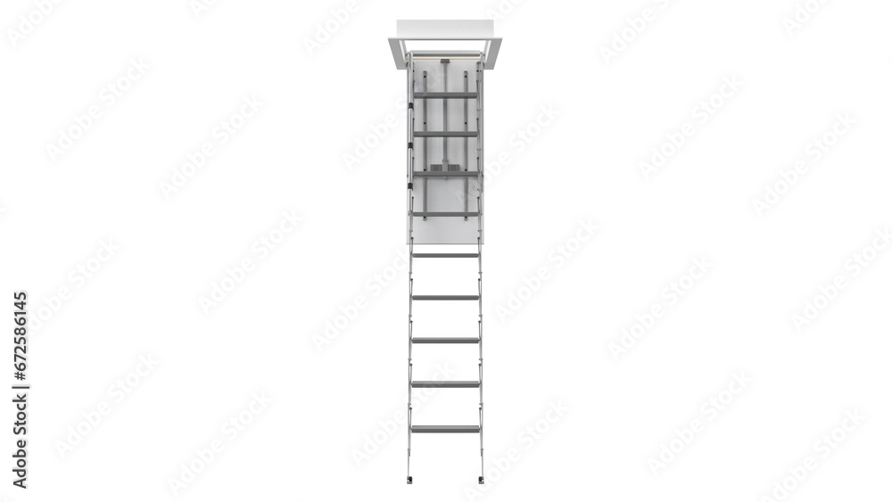 attic ladder 