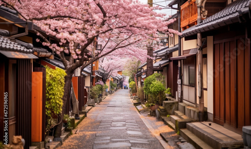 korea village with sakura flower