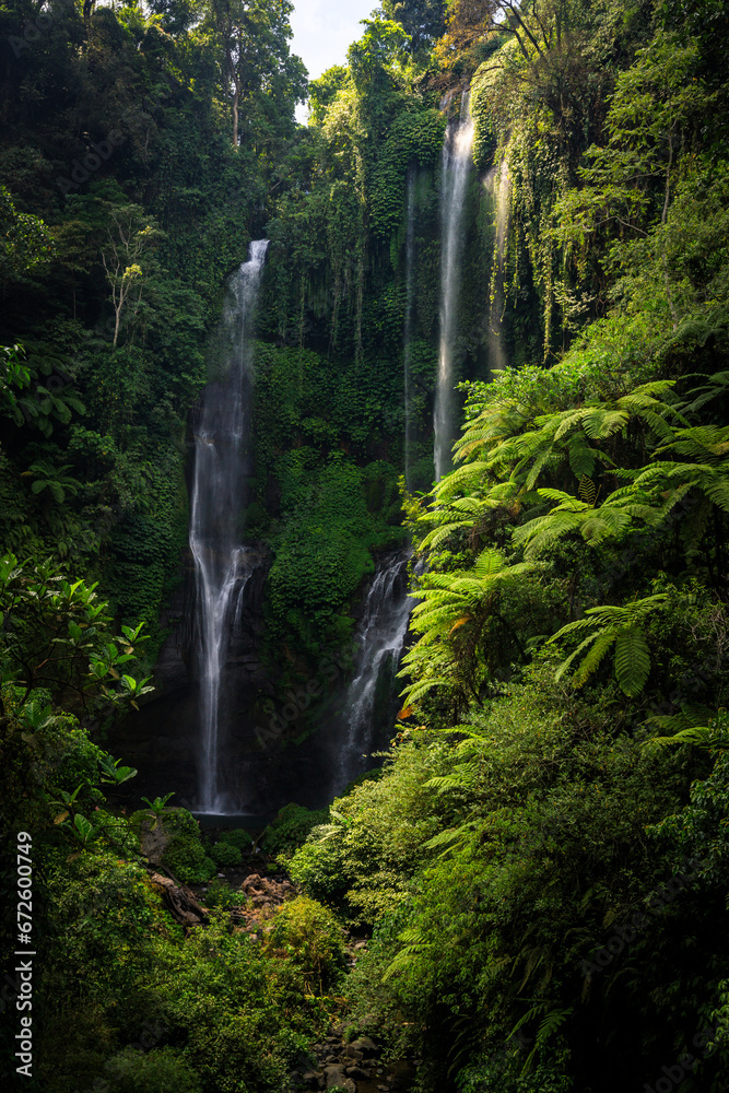 The Sekumpul Waterfall, a large waterfall in the middle of the jungle that falls into a deep green gorge. Trees and tropical plants at Bali's highest waterfall.