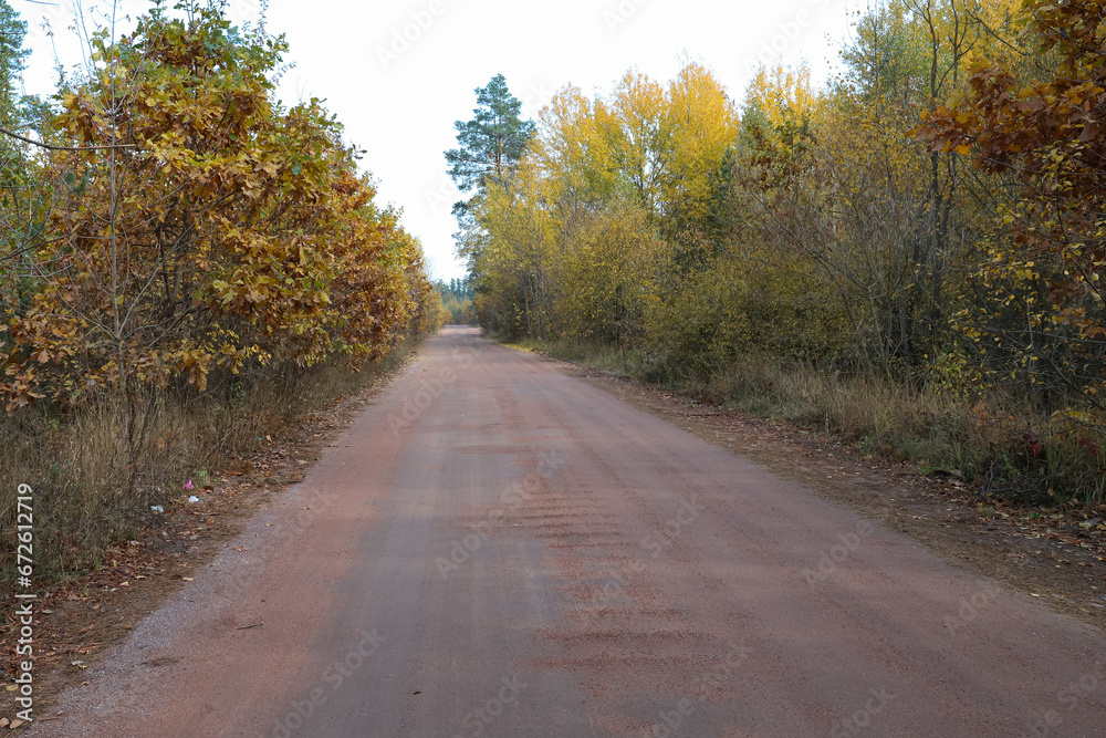 the road in the autumn forest, multi-colored trees, yellowed leaves, October