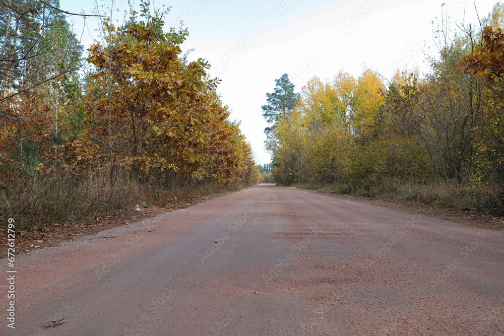 Obraz premium asphalt road in the middle of the autumn forest, colorful trees in autumn