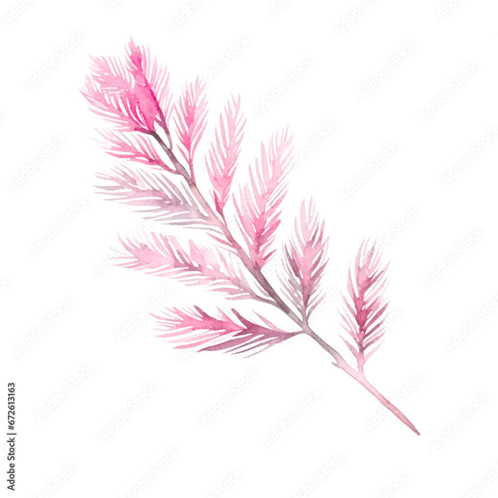 Watercolor illustration of Christmas plant isolated on white background.