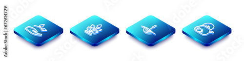Set Isometric line Leaf in hand, Plant, Acupuncture therapy and Teapot with icon. Vector
