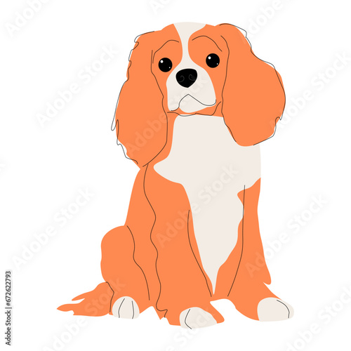 King Charles Spaniel isolated on white background. Purebred dog hand drawn flat design.