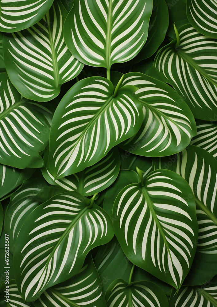 Foliage nature plant background summer gardening texture beauty tropical leaves green pattern
