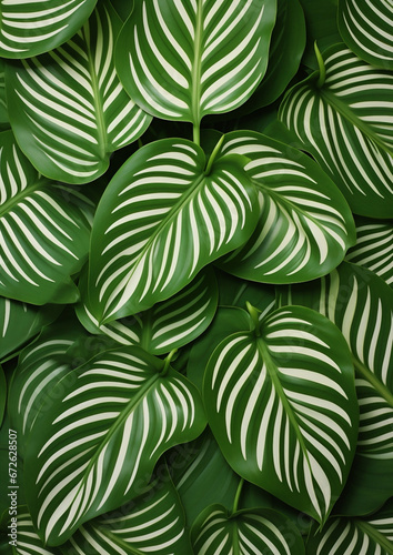 Wallpaper Mural Foliage nature plant background summer gardening texture beauty tropical leaves green pattern Torontodigital.ca