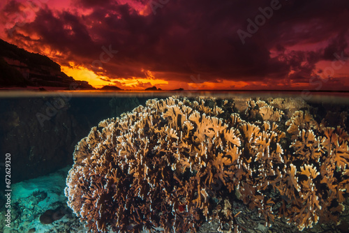 Seascape with coral reef underwater and colorful bright sunset or sunrise, split view over-under water surface in French Polynesia, Oceania