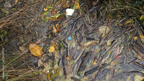 Wood and plastic washing into the edge of a river photo