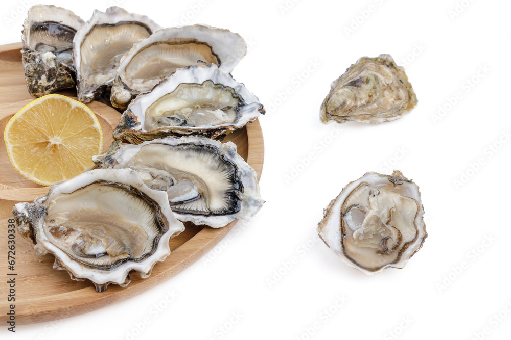 fresh appetizing oysters on white background 3 fresh appetizing oysters on white background 3