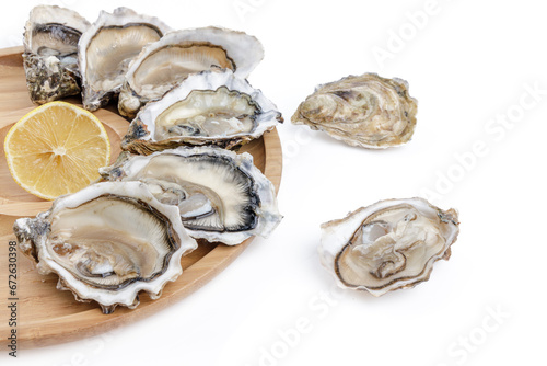 fresh appetizing oysters on white background 2
