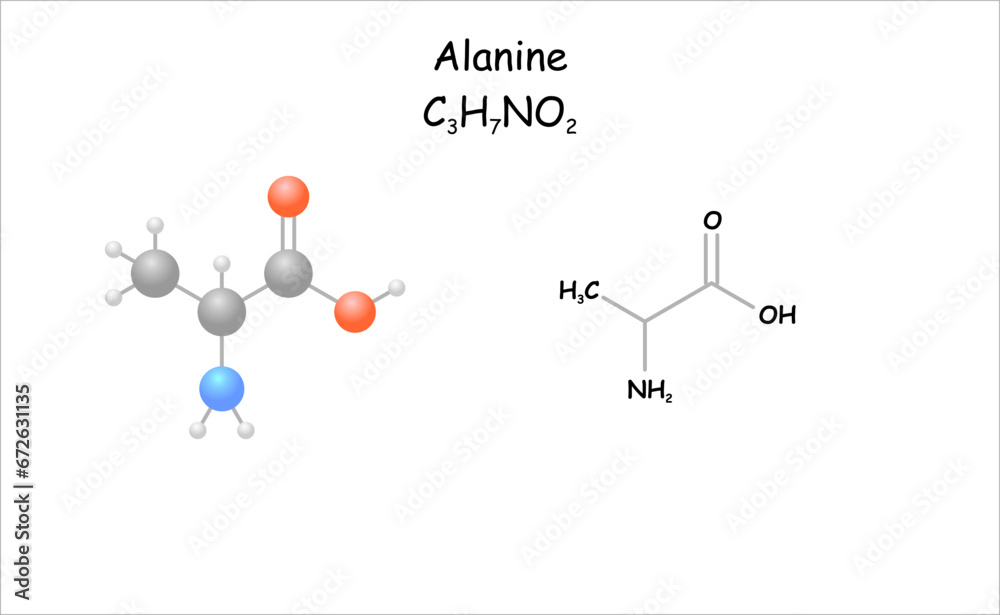 Alanine. Stylized molecule model and structural formula. Stock Vector ...