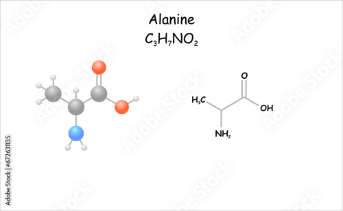 Alanine. Stylized molecule model and structural formula. 